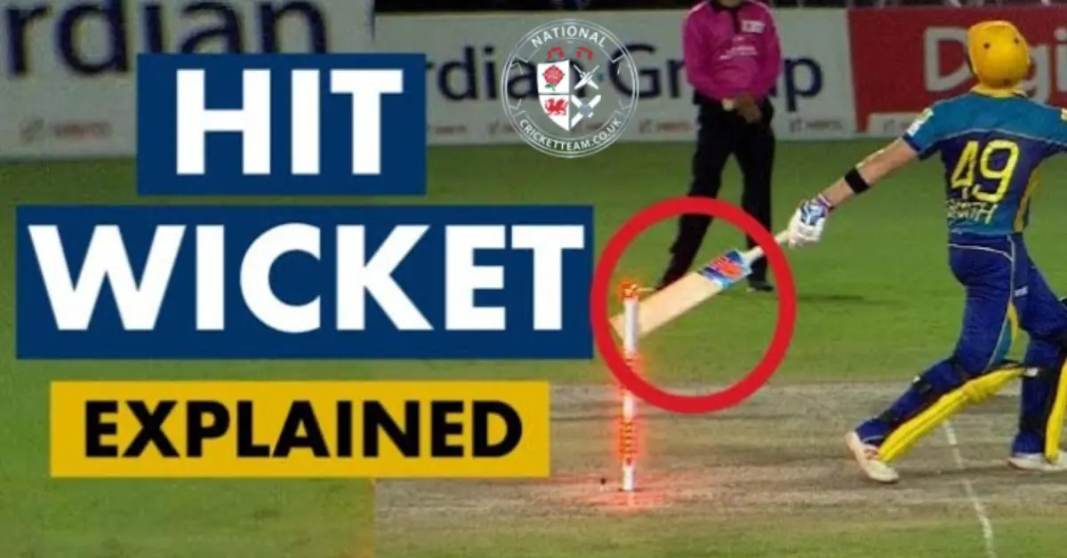 Cricket Hit Wicket – Full Guide, Law 35, Meaning, Rules & Cases