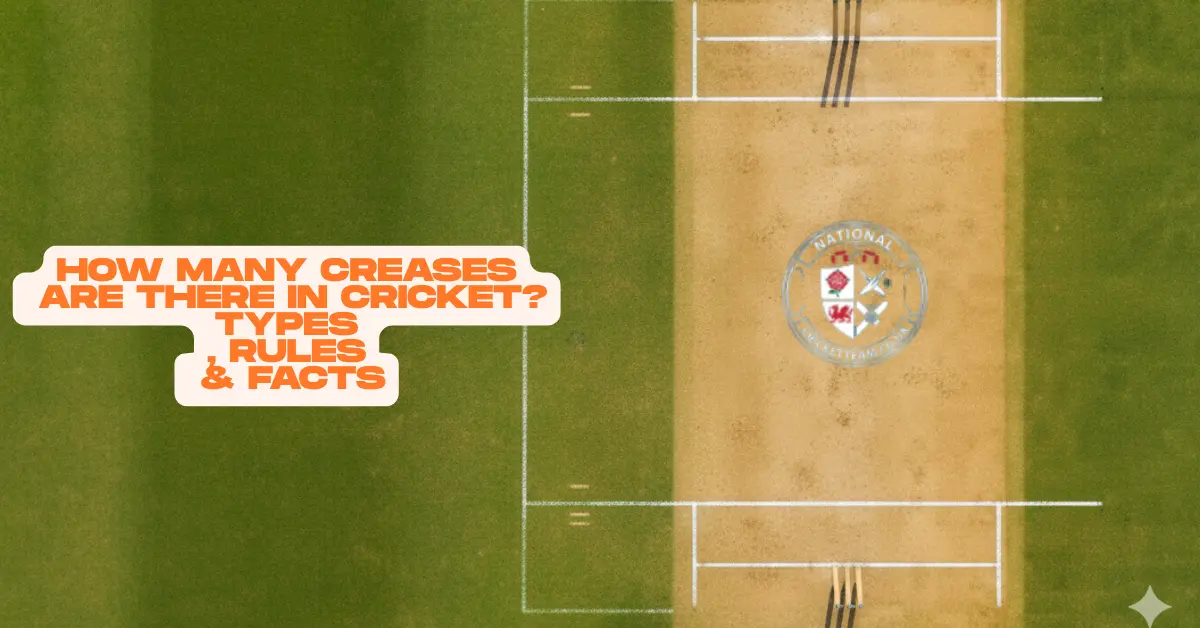 How Many Creases Are There in Cricket