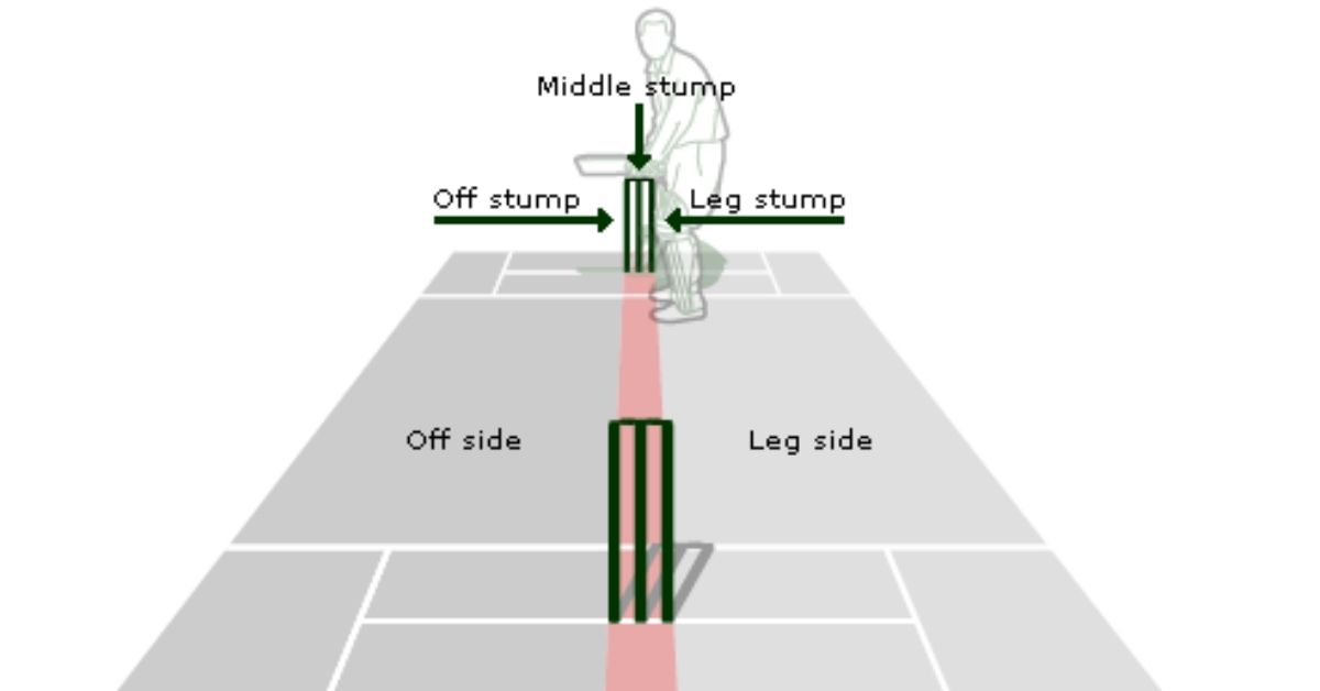 Stumps Meaning in Cricket