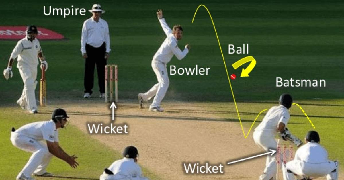 Wickets in Cricket