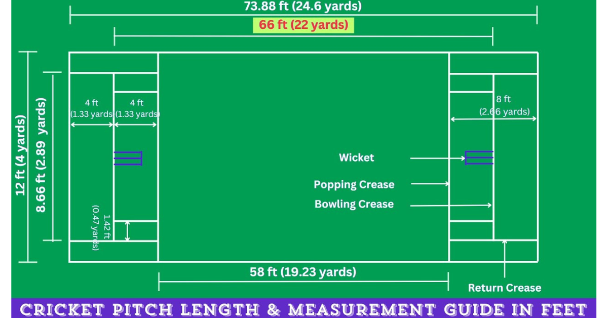 Cricket Pitch Length in Feet: Everything You Need to Know